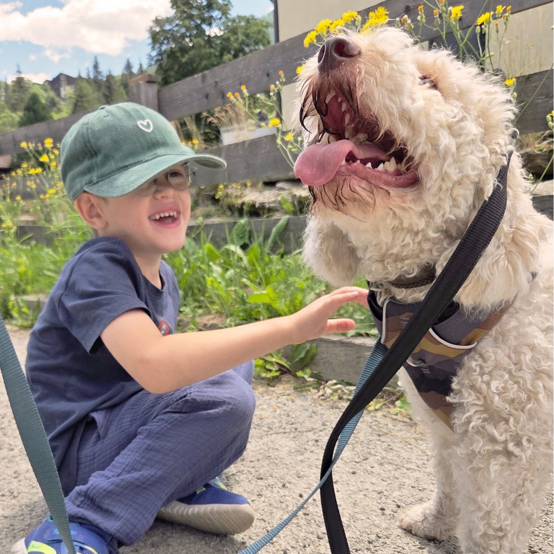 NL quadratische Bilder(18) Lachender-MPS-Bub-mit-Therapiehund-(c)MPS-Austria